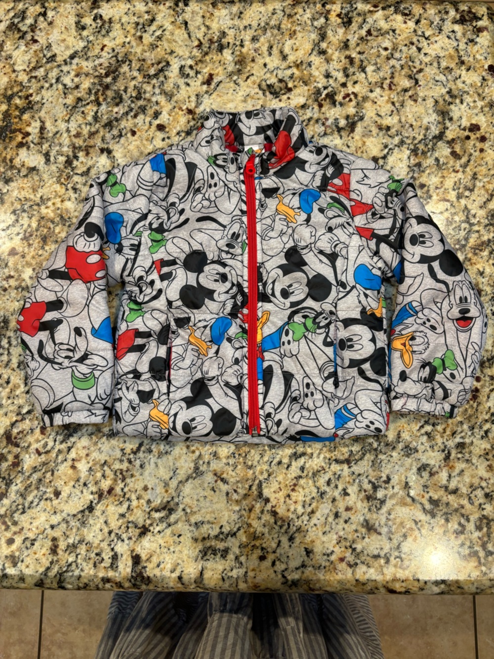 Disney Parks Mickey & Friends Puffer